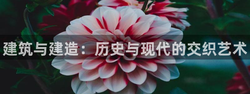 威九国际取款不到账：建筑与建造：历史与现代的交织艺术