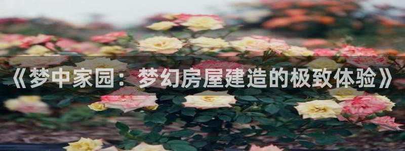 威九国际FT