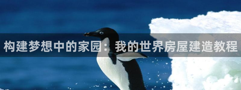 威九国际网站入口官网免费
