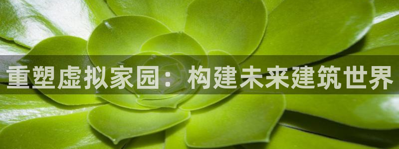 威九国际女主角：重塑虚拟家园：构建未来建筑世界