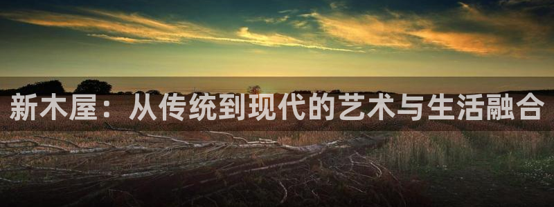 威九国际女艺人：新木屋：从传统到现代的艺术与生活融合