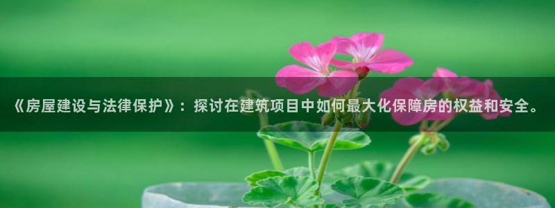 威九国际网站：《房屋建设与法律保护》：探讨在建筑项目中如何最大化保障房的权益和安全。