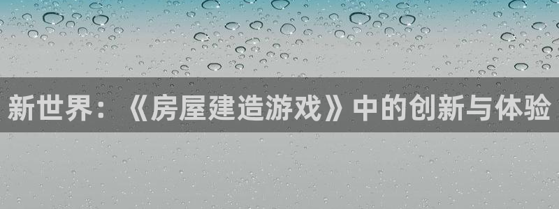 威九国际vA9618：新世界：《房屋建造游戏》中的创新与体验