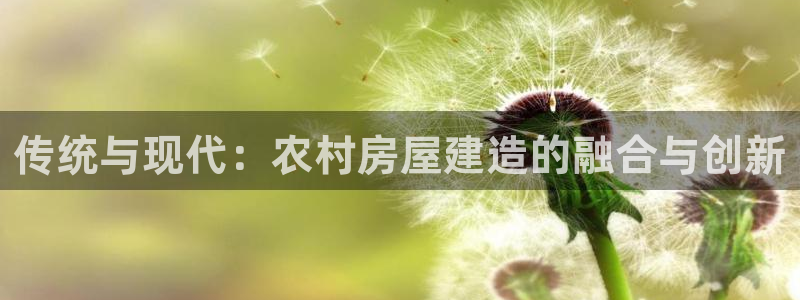 威九国际真人玩家在线对战：传统与现代：农村房屋建造的融合与创新