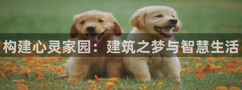 威九国际男演员：构建心灵家园：建筑之梦与智慧生活