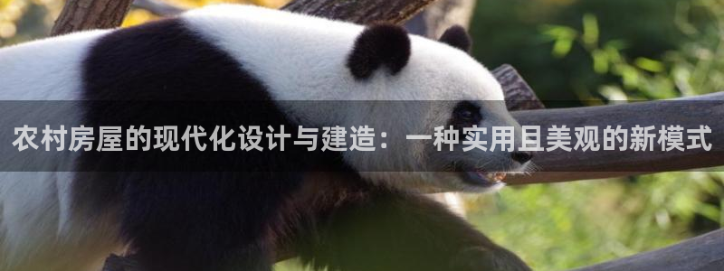 威九国际app入口官网：农村房屋的现代化设计与建造：一种实用且美观的新模式
