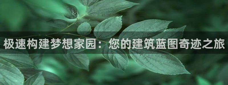 威九国际成长模式：极速构建梦想家园：您的建筑蓝图奇迹之旅