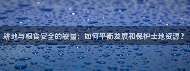 威九国际官网版下载：耕地与粮食安全的较量：如何平衡发展和保护土地资源？