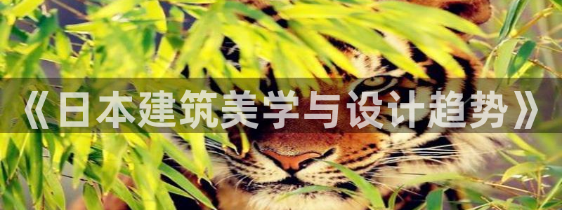 威九国际AN：《日本建筑美学与设计趋势》