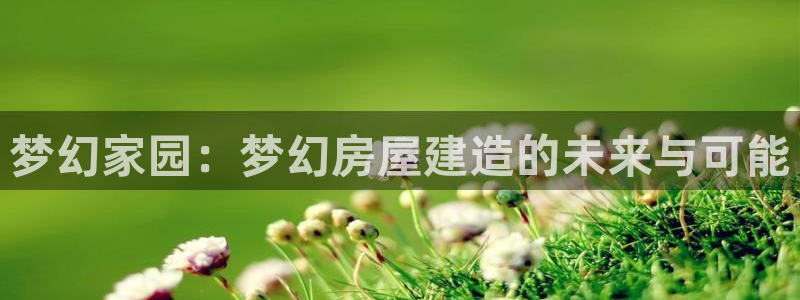 威九国际客服电话是多少：梦幻家园：梦幻房屋建造的未来与可能
