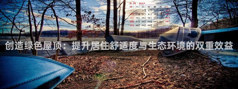 威九国际最新网站：创造绿色屋顶：提升居住舒适度与生态环境的双重效益