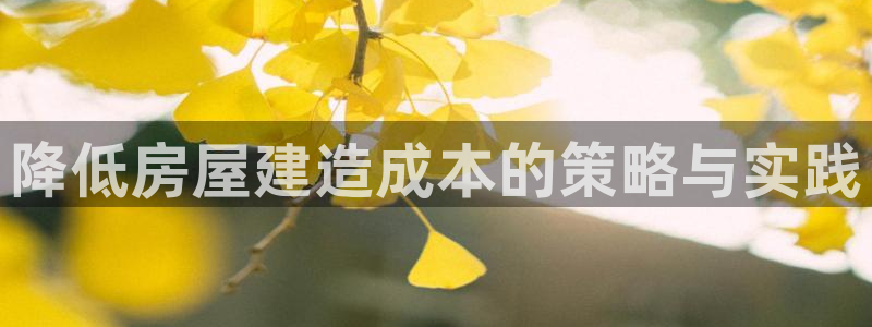 威九国际的网站入口在哪里