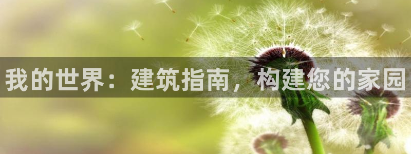 威九国际空降视频：我的世界：建筑指南，构建您的家园