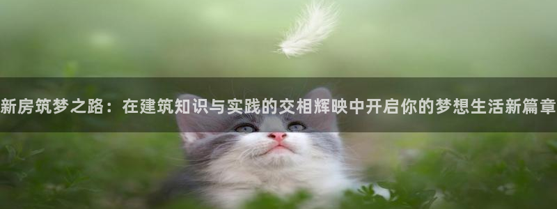 威九国际网站经常打不开怎么办：新房筑梦之路：在建筑知识与实践的交相辉映中开启你的梦想生活新篇章