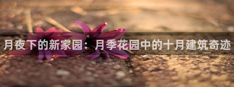 威九国际体育：月夜下的新家园：月季花园中的十月建筑奇迹