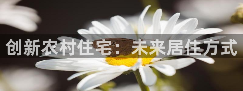 威九国际app无法登陆怎么回事：创新农村住宅：未来居住方式