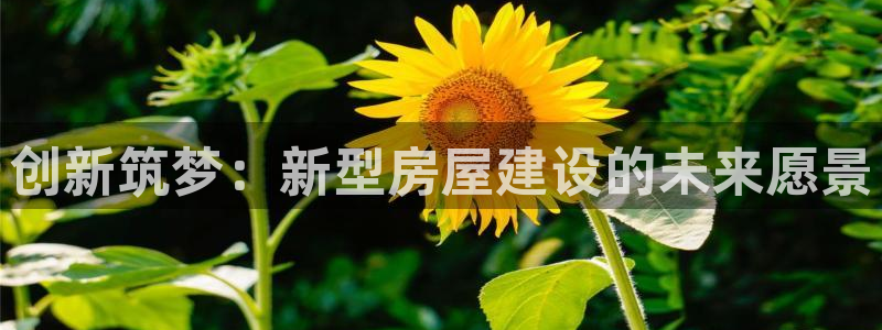 78mapp威九国际免费官方版下载：创新筑梦：新型房屋建设的未来愿景