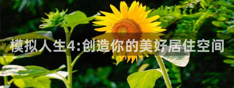 威九国际官方网站最新版本更新内容介绍：模拟人生4:创造你的美好居住空间