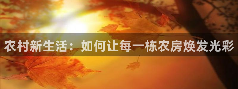 威九国际系列：农村新生活：如何让每一栋农房焕发光彩