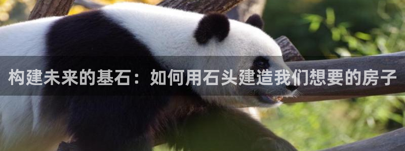 威九国际网站怎么样可靠吗：构建未来的基石：如何用石头建造我们想要的房子
