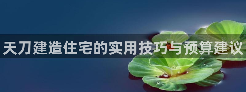 威九国际app网站安全吗：天刀建造住宅的实用技巧与预算建议