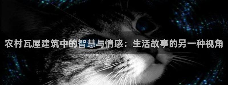 威九国际小广告：农村瓦屋建筑中的智慧与情感：生活故事的另一种视角