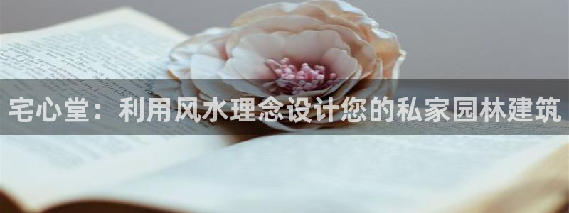 威九国际EVA0001:宅心堂:利用风水理念设计您的私家园林建筑