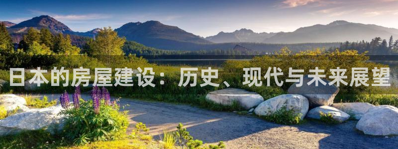 威九国际韩国:日本的房屋建设:历史、现代与未来展望