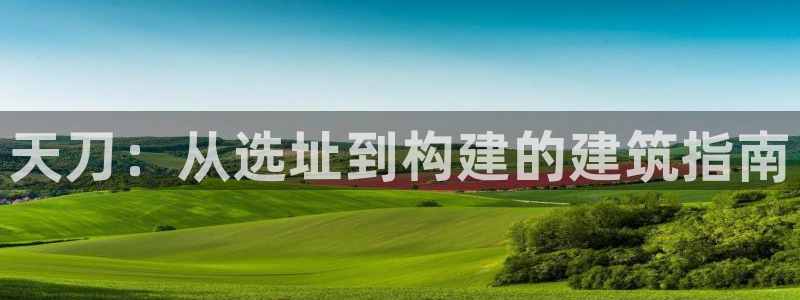 威九国际抡里:天刀:从选址到构建的建筑指南