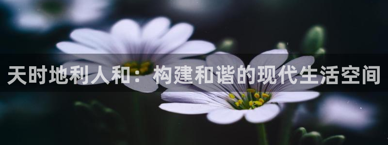 威九国际v96bet下载：天时地利人和：构建和谐的现代生活空间