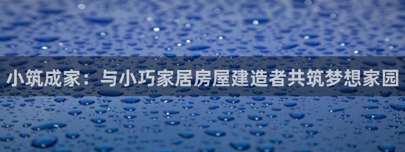 威九国际网站客服电话多少啊