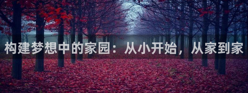 威九国际娜娜：构建梦想中的家园：从小开始，从家到家