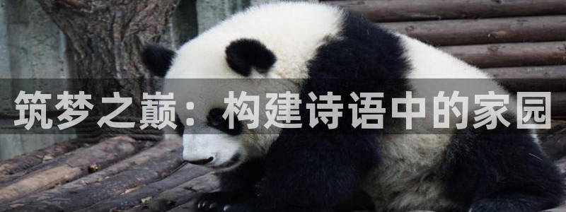 威九国际w98：筑梦之巅：构建诗语中的家园