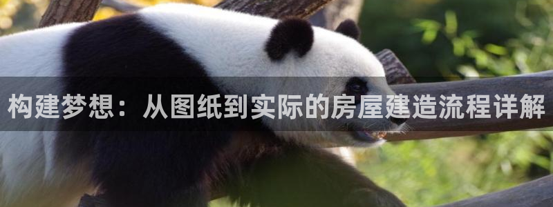 威九国际宣传片：构建梦想：从图纸到实际的房屋建造流程详解