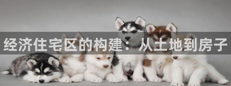 78mppt威九国际：经济住宅区的构建：从土地到房子