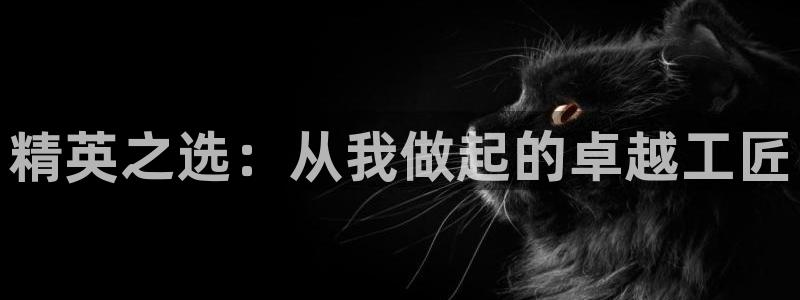 威九国际66m免费版：精英之选：从我做起的卓越工匠