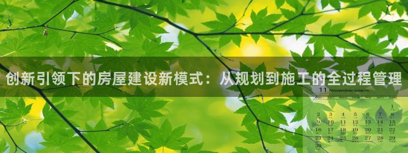 威九国际78m小说：创新引领下的房屋建设新模式：从规划到施工的全过程管理