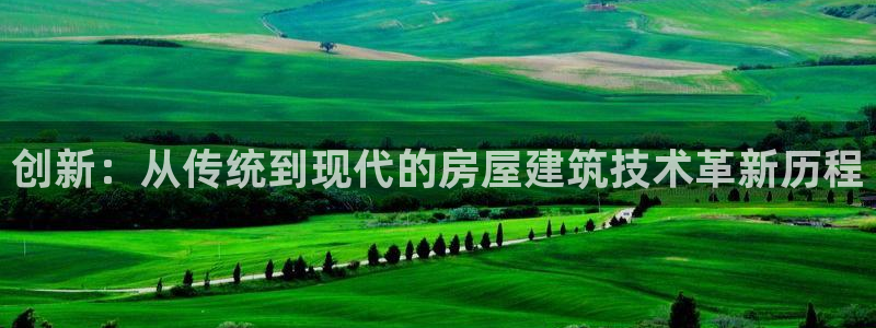 威九国际网站入囗：创新：从传统到现代的房屋建筑技术革新历程