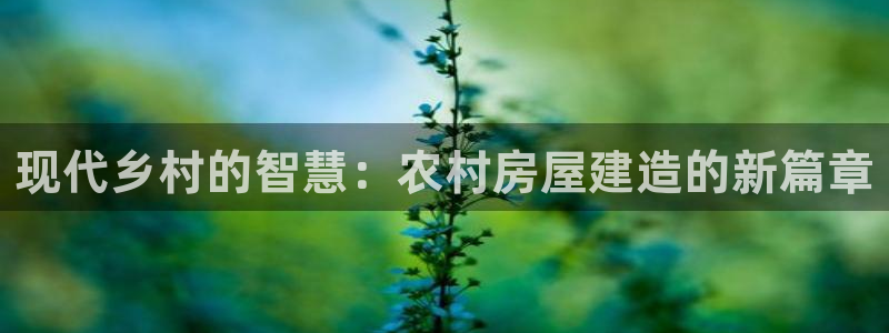 威九国际客服电话是多少：现代乡村的智慧：农村房屋建造的新篇章