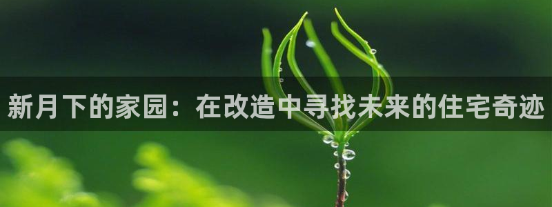 威九国际MV：新月下的家园：在改造中寻找未来的住宅奇迹