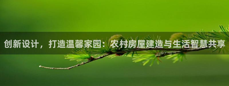 威九国际电子游戏：创新设计，打造温馨家园：农村房屋建造与生活智慧共享