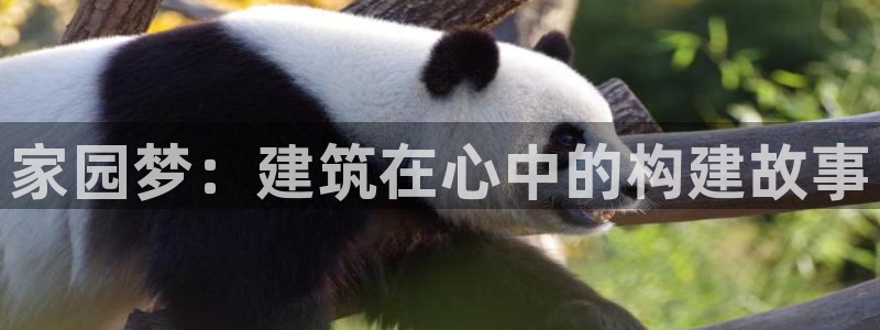 威九国际66：家园梦：建筑在心中的构建故事