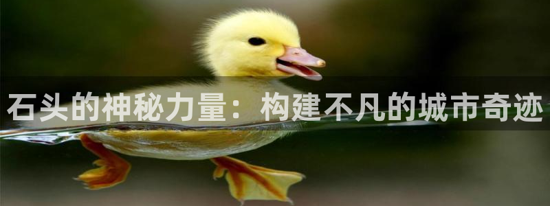 威九国际空降服务怎么样