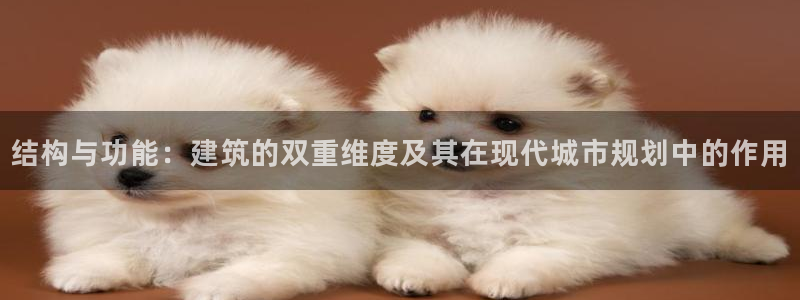 威九国际下载：结构与功能：建筑的双重维度及其在现代城市规划中的作用