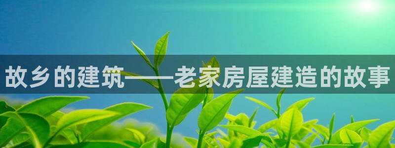 威九国际狂飚电影：故乡的建筑——老家房屋建造的故事