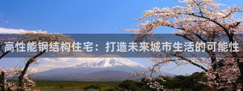 威九国际APP客服：高性能钢结构住宅：打造未来城市生活的可能性