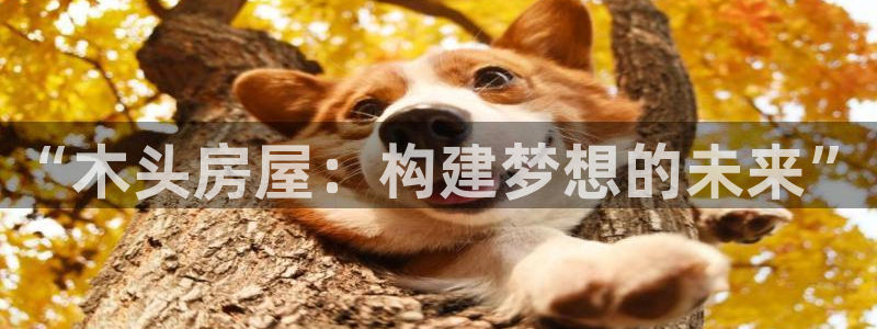 威九国际网站更新：“木头房屋：构建梦想的未来”