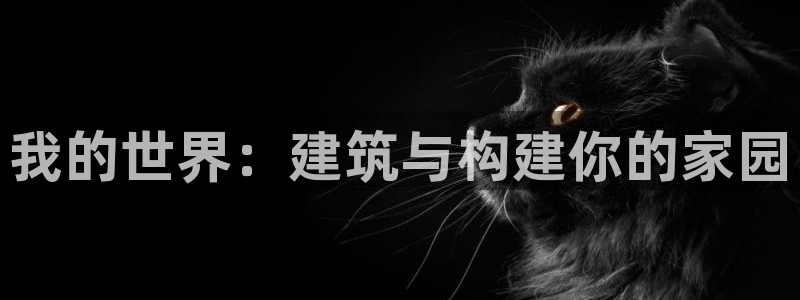 威九国际78m78：我的世界：建筑与构建你的家园