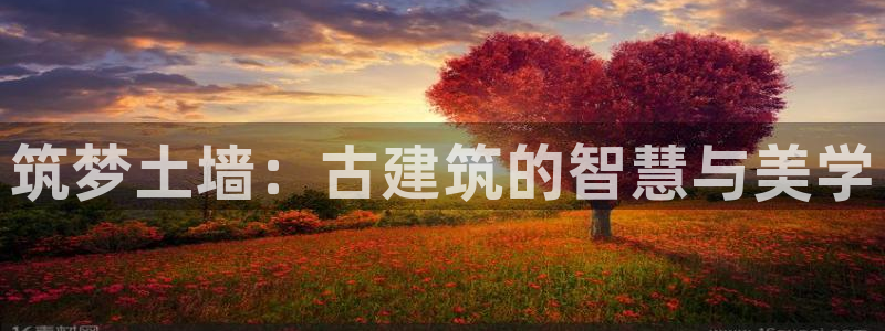 威九国际网站入口地址在哪里：筑梦土墙：古建筑的智慧与美学