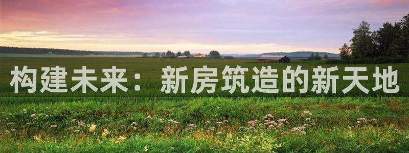 威九国际能提现吗是真的吗：构建未来：新房筑造的新天地